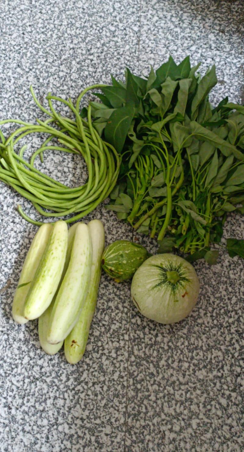 蔬菜批发市场的最新动态